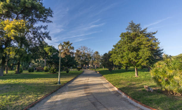 istock Jardines del Real, Walk in-between trees - Viveros Valencia 832084774