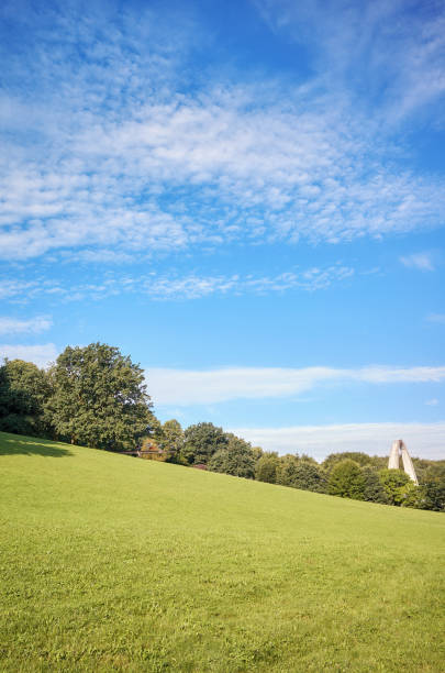 istock City park on a beautiful summer day. 832093058