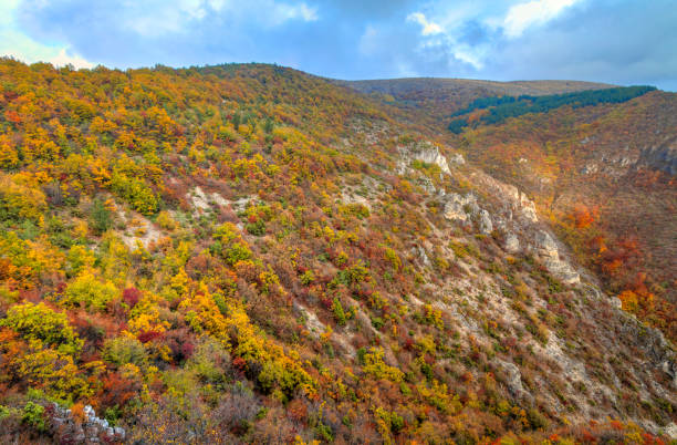 istock Landscape in the mountain with colorful autums forest 832100584