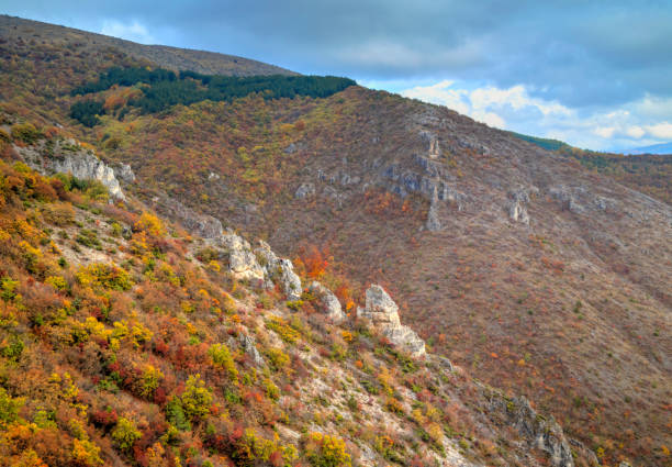 istock Landscape in the mountain with colorful autums forest 832101390