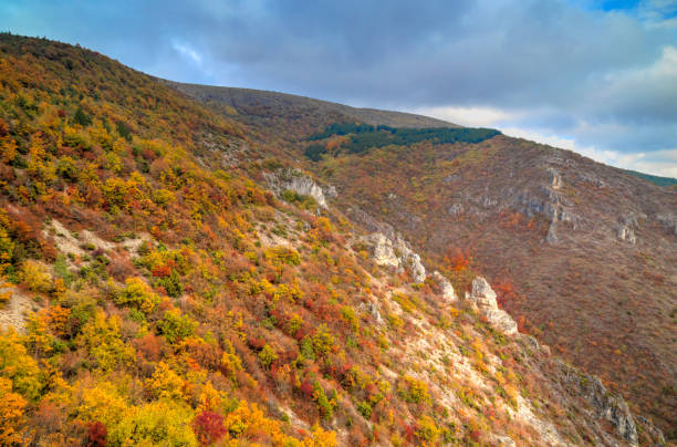 istock Landscape in the mountain with colorful autums forest 832101422