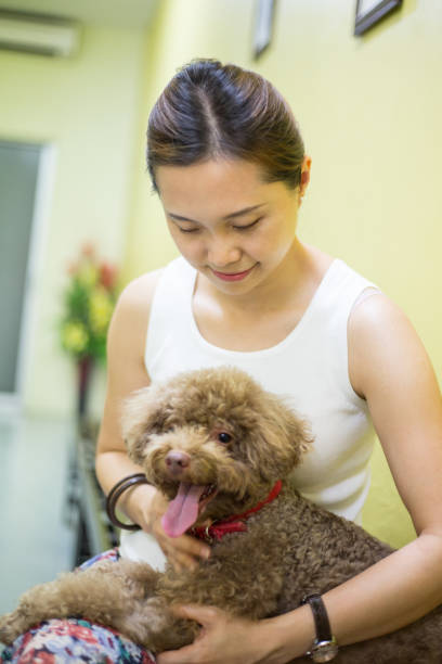 istock Asian woman hug Miniature Poodle 832101524
