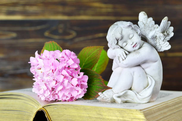 istock Guardian angel and flower 832101934