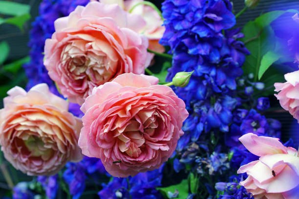 istock Rose flowers and Delphinium 832112948