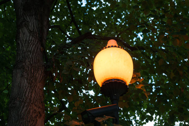 istock Street lamp and green tree 832115590