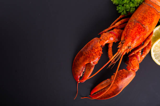 Lobster