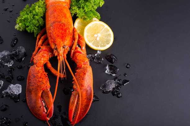 istock lobster food 832120582
