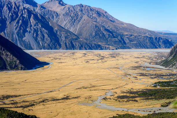 istock New Zealand 832129544