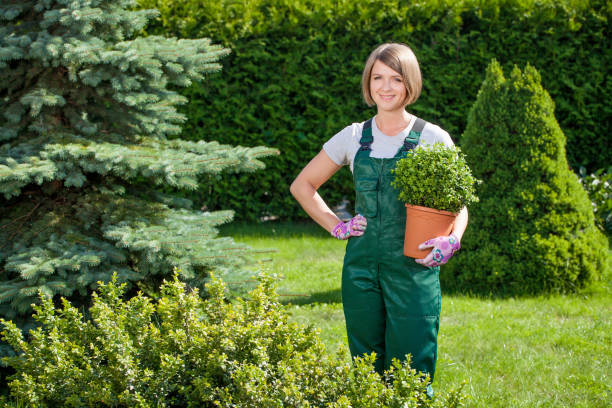 istock Young smiling woman working in the garden. 832130252