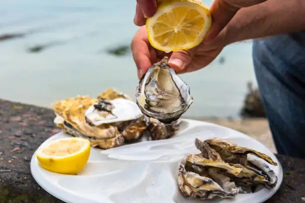 Male hand holding oysters on a plastic plate near the sea