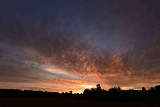 istock Cloudy skies in the light of dawn over the forest 832137800