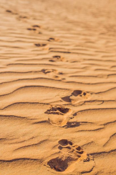istock Footprints in the sand in the red desert at Sunrise 832142276