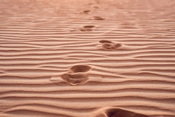istock Footprints in the sand in the red desert at Sunrise 832147176