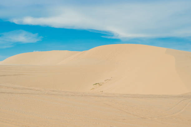 istock Yellow sand in the desert, Vietnam 832147362
