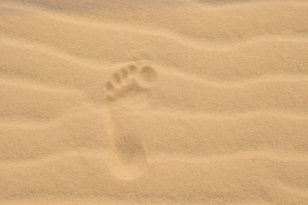 istock Footprints in the desert or beach sand 832147396
