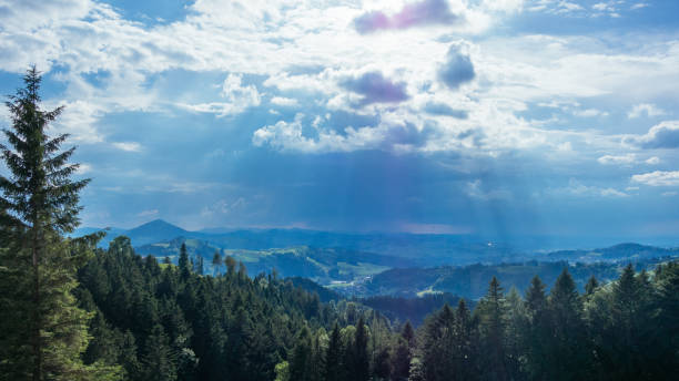 Hiking trip in Gais, a town in the swiss alps Going for a hike on a cloudy day to the swiss alps gewitter stock pictures, royalty-free photos & images