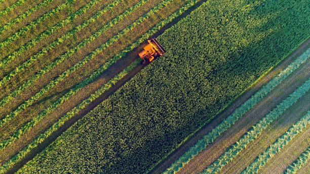 agricultural harvesting at the last light of day, aerial view. - equipamento agrícola imagens e fotografias de stock