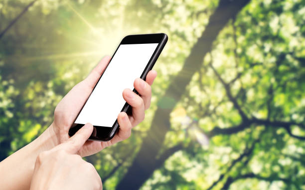 istock Hand click mobile phone with blur green tree at park background bokeh light,White screen mock up template for adding your design or your text 832156260