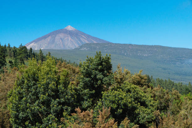 istock Teide National Park in Tenerife 832158584