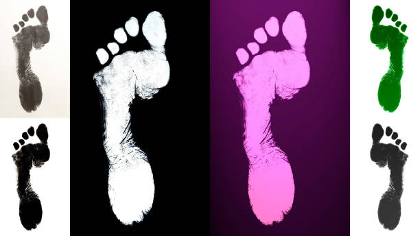 istock Human foot print  identification biometrics ink 832158762