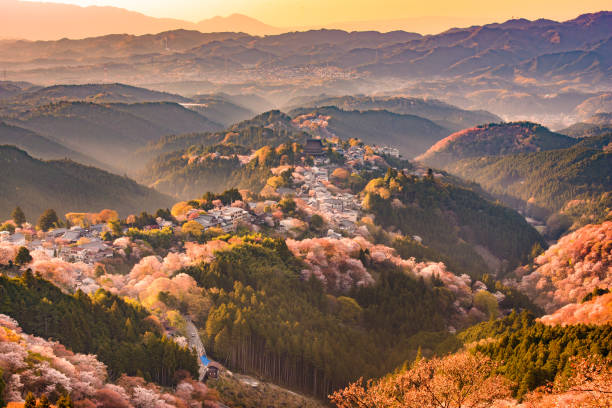 yoshinoyama, япония весной - nobody aerial view landscape rural scene стоковые фото и изображения