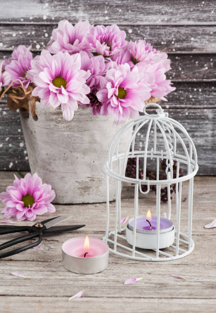 istock Pink chrysanthemum in concrete pot with scissors 832163604