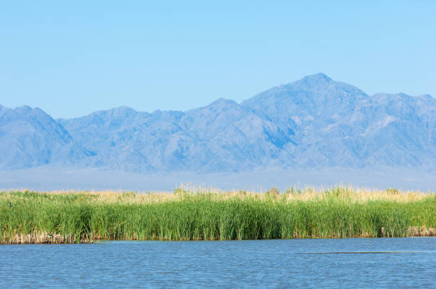 istock steppe summer. Turgai save. Lake in the desert 832174228
