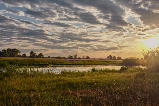 istock Landscape with green grass and river with beautiful clouds in the background at sunset 832174746