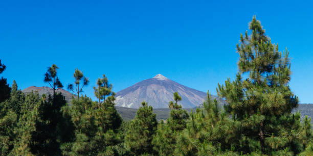 istock Teide National Park in Tenerife 832175256