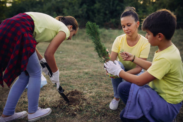 istock Volunteers planting and watering tree in park 832178050