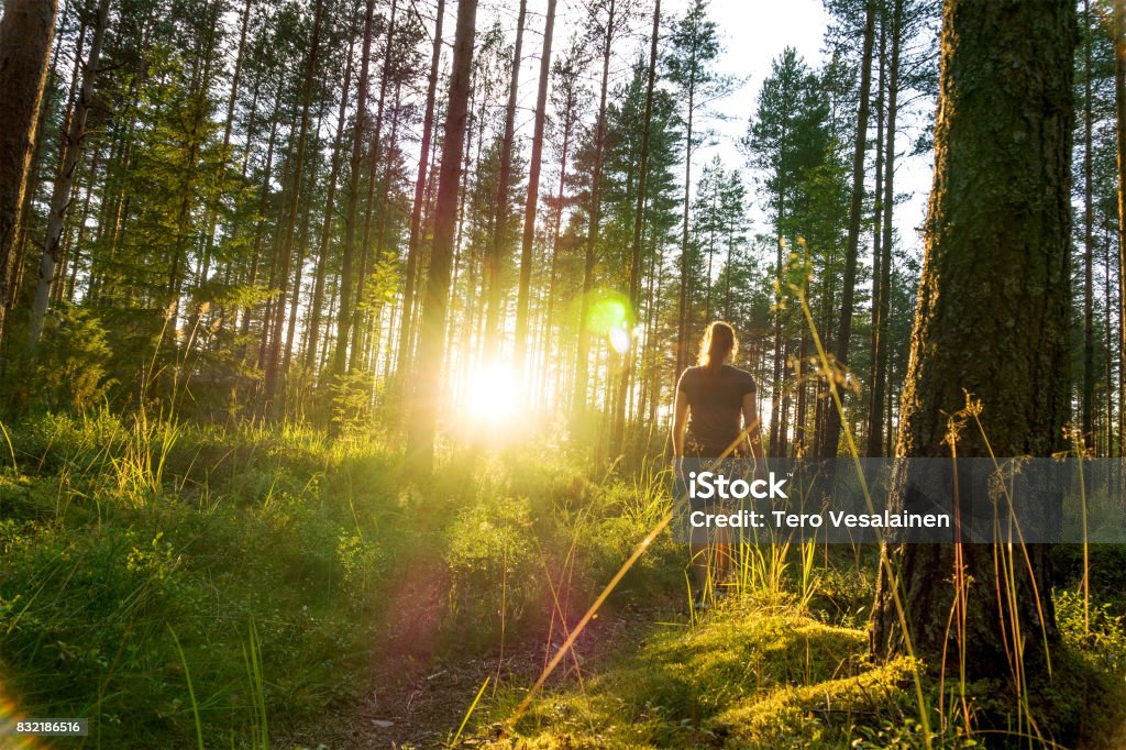 Junge Frau zu Fuß in Waldweg bei Sonnenuntergang. Sommernacht in der Natur in der Morgendämmerung. Unbeschwerten Lebensstil. Die Sonne scheint. Mädchen im Wald wandern. - Lizenzfrei Gehen Stock-Foto