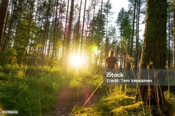 Photo libre de droit de Jeune Femme Qui Marche Dans Le Sentier De La Forêt Au Coucher Du Soleil Nuit Dété Dans La Nature À Laube Mode De Vie Insouciant Soleil Brille Fille De Randonnée Dans Les Bois banque d'images et plus d'images libres de droit de Marcher