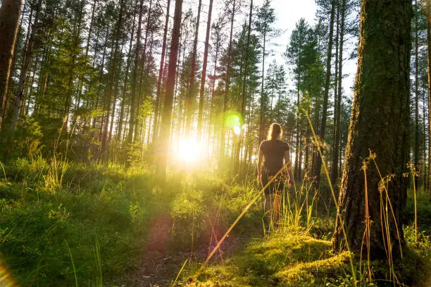 Photo of Young woman walking in forest path at sunset. Summer night in nature at dawn. Carefree lifestyle. Sun shining. Girl hiking in the woods.