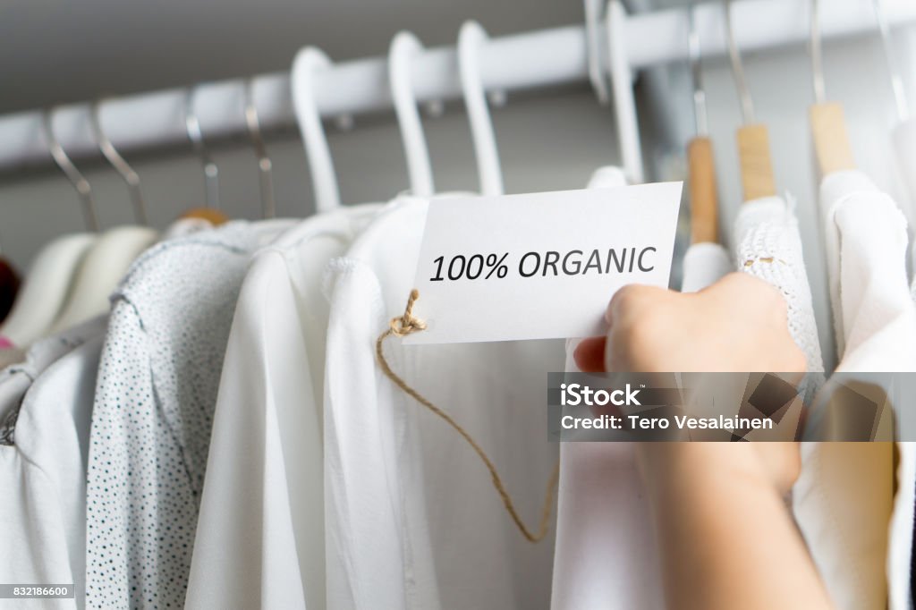 T-shirt made of 100% and hundred percent organic materials. Customer with responsible and nature and eco friendly values looking for clothes in store or shop. Holding label and price tag with text. T-shirt made of 100% and hundred percent organic materials. Customer with responsible and nature and eco friendly values. Fashion Stock Photo