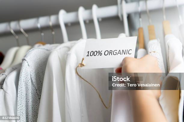 Tshirt Made Of 100 And Hundred Percent Organic Materials Customer With Responsible And Nature And Eco Friendly Values Looking For Clothes In Store Or Shop Holding Label And Price Tag With Text Stock Photo - Download Image Now