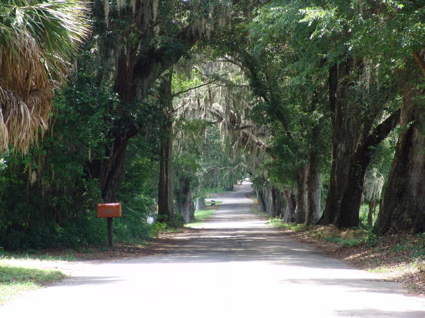 istock Canopy road, Broken Oak Drive, Sumter County Florida 832187736