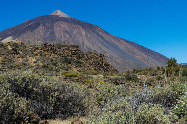istock Teide National Park in Tenerife 832191990
