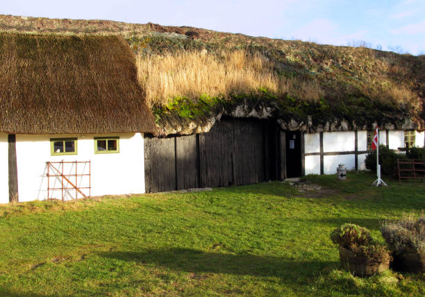 dania: stary dom z stroikiem i dachem z wodorostów w północnej jutlandii w zimowym słońcu - thatched roof zdjęcia i obrazy z banku zdjęć