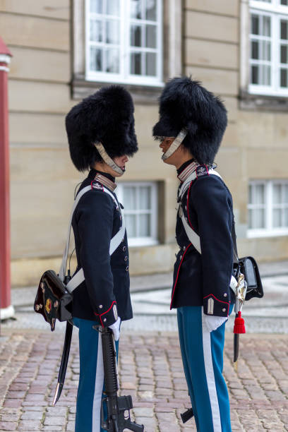 guardia reale danese a copenaghen - honor guard protection security guard tourist foto e immagini stock