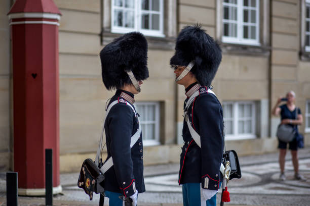 danish royal guard in copenhagen - castle honor guard protection security guard imagens e fotografias de stock