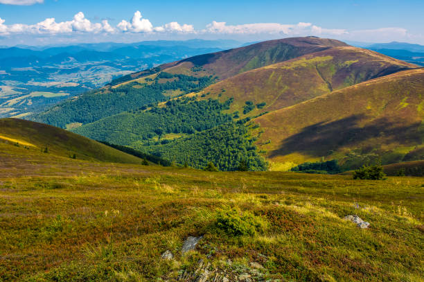 istock rocks among the grass on mountain slope 832223704