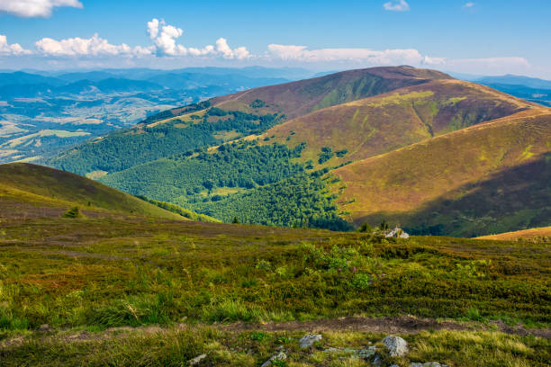 istock Borzhava ridge in Carpathian mountains in august 832226052