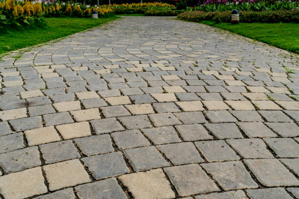 istock Concrete Pathway in garden 832230386