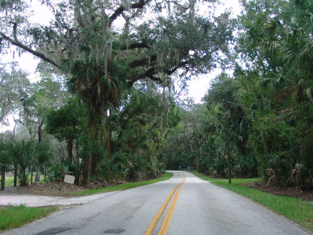 istock Canopy road, Enterprise-Osteen Road, County Florida 832234770