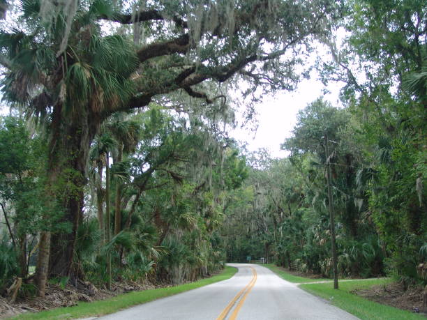istock Canopy road, Enterprise-Osteen Road, County Florida 832237408