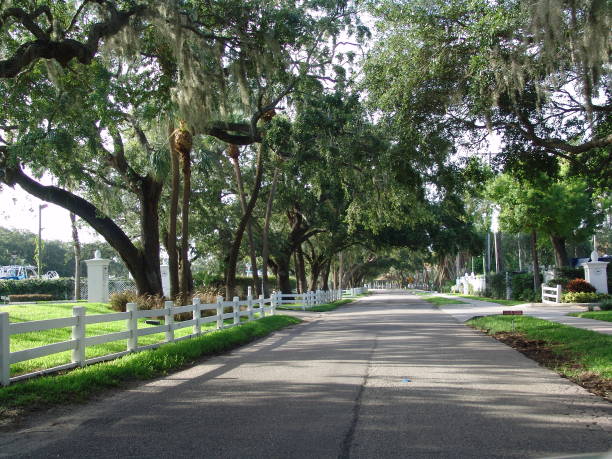 istock Canopy road, Interbay, Tampa Florida 832237902