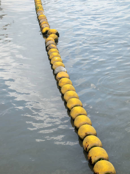 istock Buoyancy on the river for safety 832238166