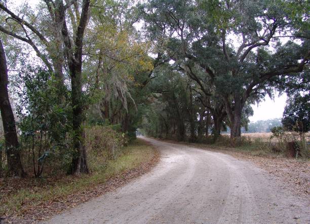 istock Canopy road, Old Darby Road, Pasco County Florida 832242112