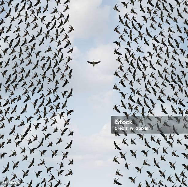 Concept Of Individualism Stock Photo - Download Image Now - Standing Out From The Crowd, Bird, Abstract