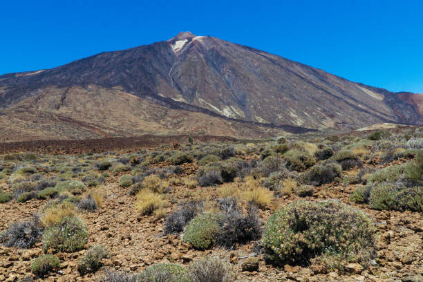 istock Teide National Park in Tenerife 832263950